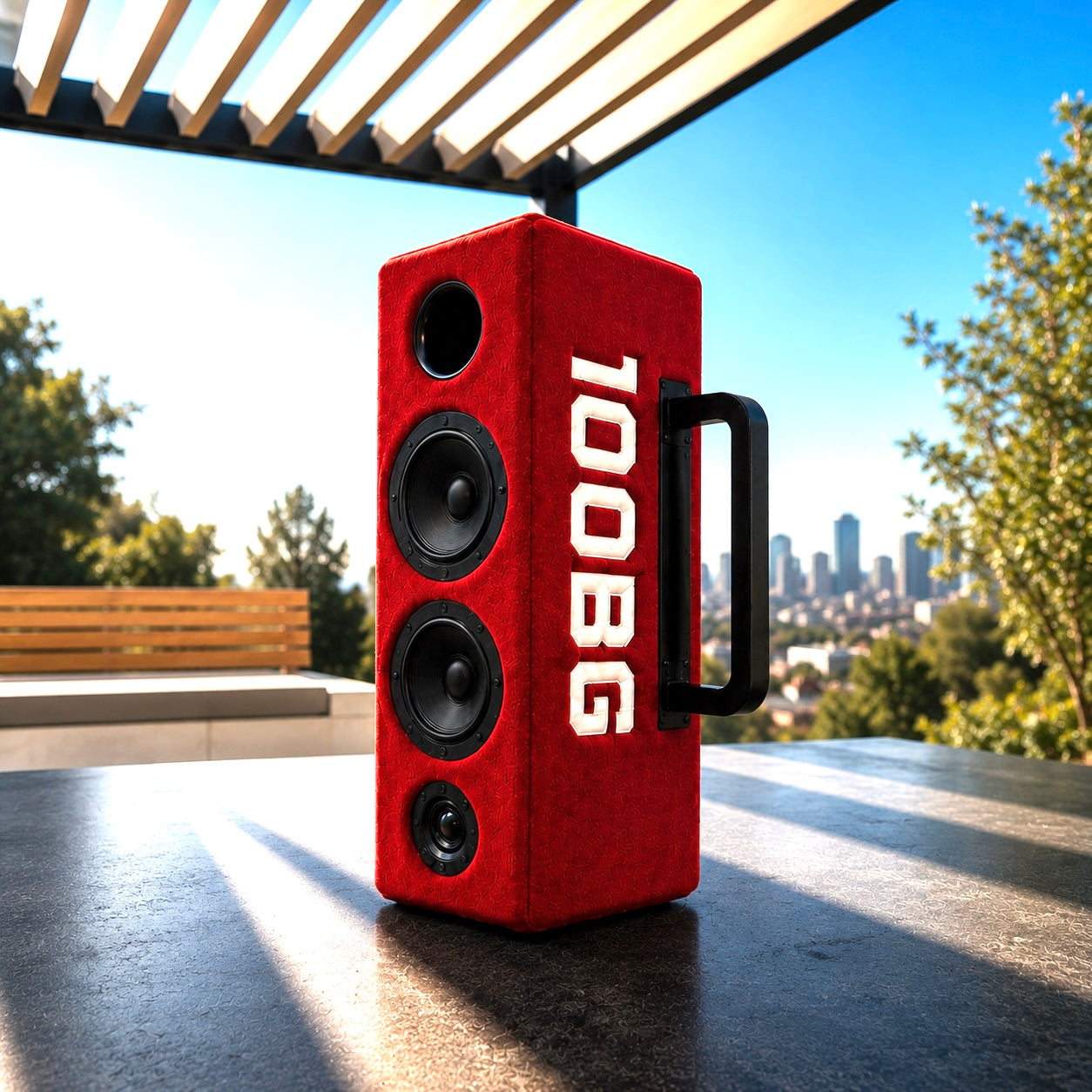 Carry on Speaker